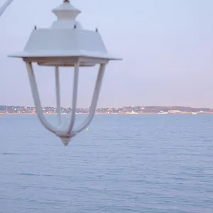 Nid D'amour Vue Cannes